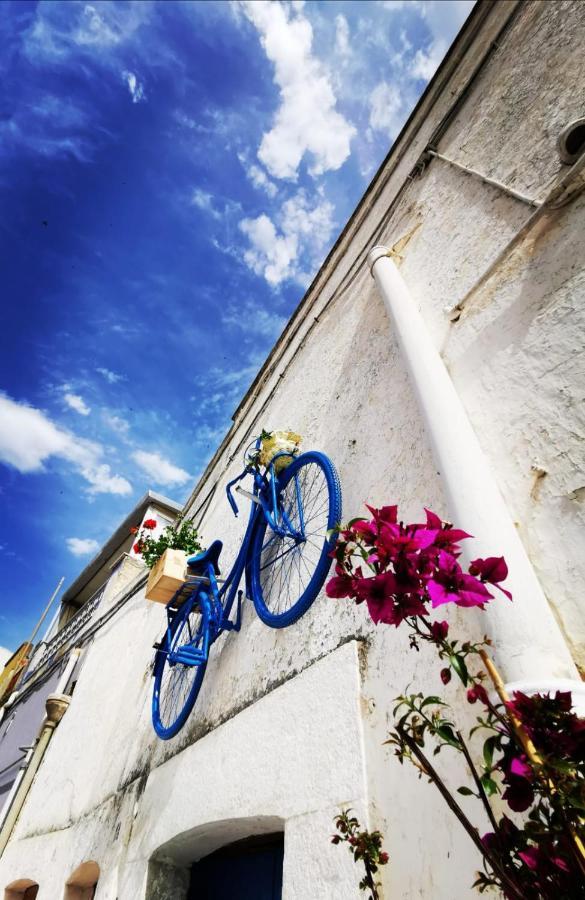 Villa Casa Levante à Canosa di Puglia Extérieur photo