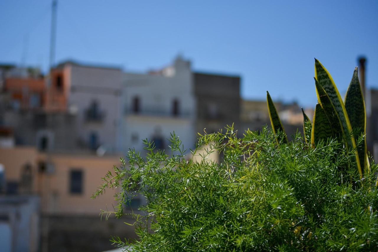 Villa Casa Levante à Canosa di Puglia Extérieur photo